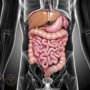 Nutrição no Câncer Gastrointestinal